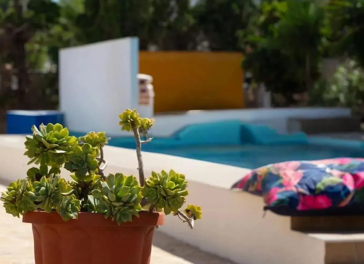 Villa De Los Osos - Roquetas De Mar, Almeria, 3Mins Walk To Playa Serena & Club De Golf Playa Serena, Entire House, Chalet With Xxl Private Pool & Gym